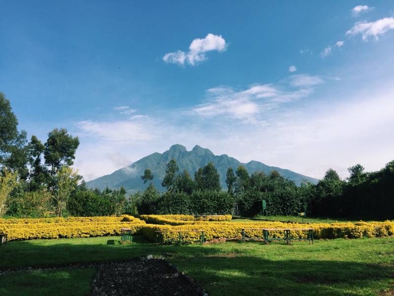 1-day Rwanda Gorilla Tour