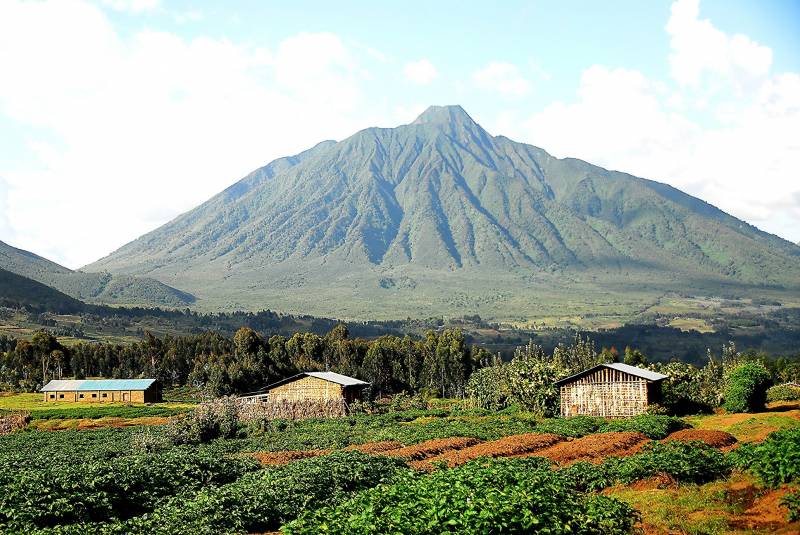 1-day Rwanda Gorilla Tour