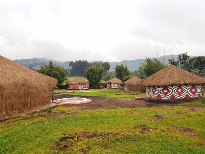 1-day Rwanda Gorilla Tour