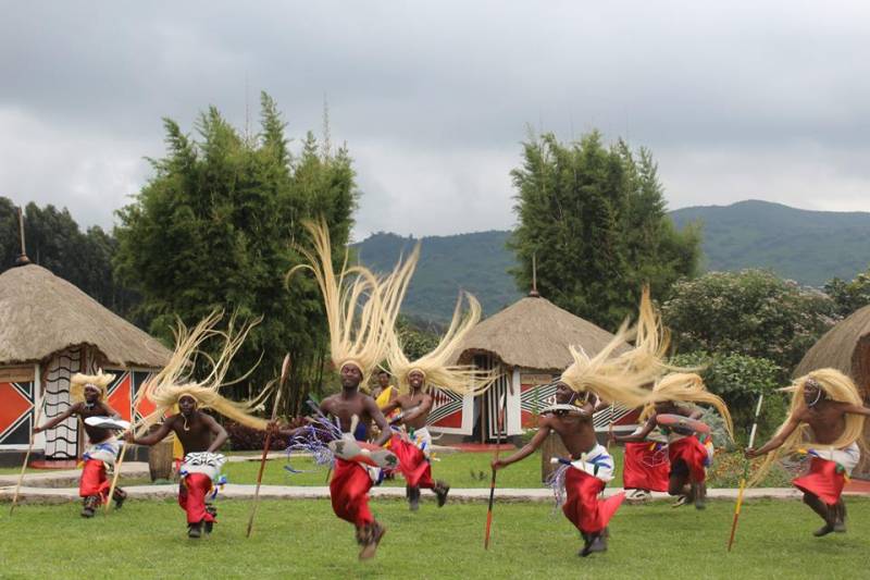 1-day Rwanda Gorilla Tour