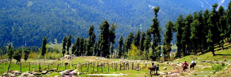 Houseboat of Kashmir Tour