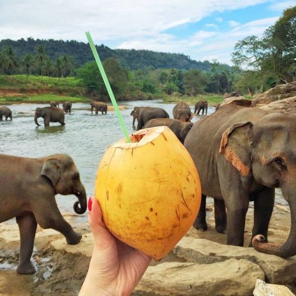 Honeymoon Packages Sri Lanka Tour