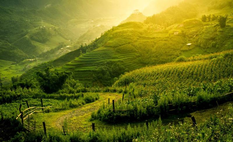 Real Sapa Experience 5 Days 5 Nights