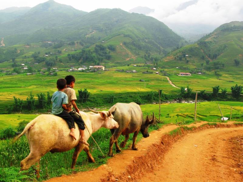 Real Sapa Experience 5 Days 5 Nights