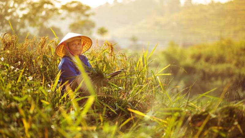 Mai Chau – Pu Luong Nature Reserve 3 Days 2 Nights