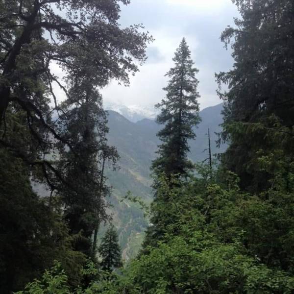 Shikhar Sharkhndu Trek Tour