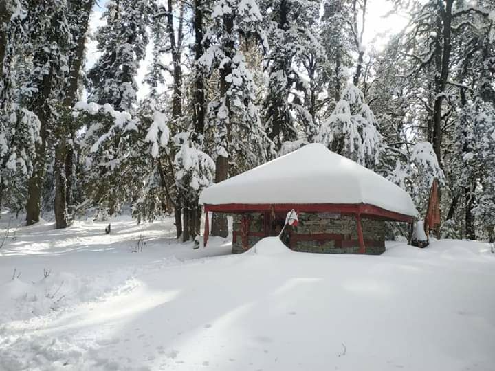 Shikhar Sharkhndu Trek Tour