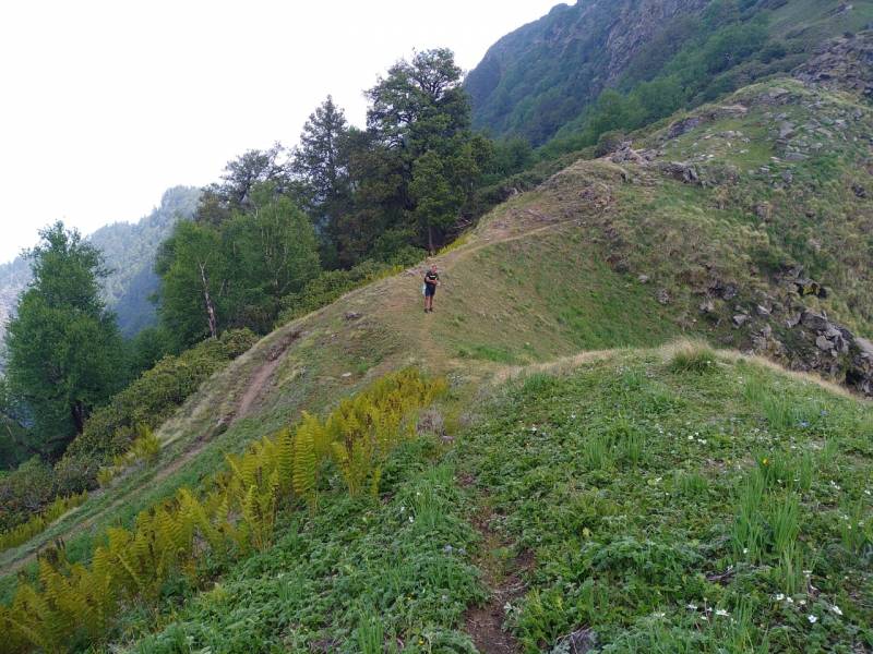 Summer Treak Bushal Pass May to Sep Tour