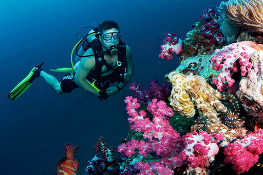 Scuba Diving Package With 5 People Tour