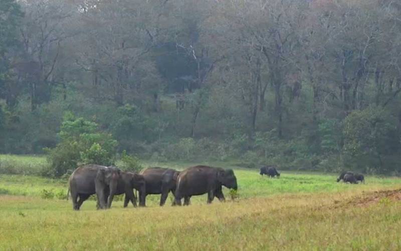 Kerala Package for 5 Night 6 Days