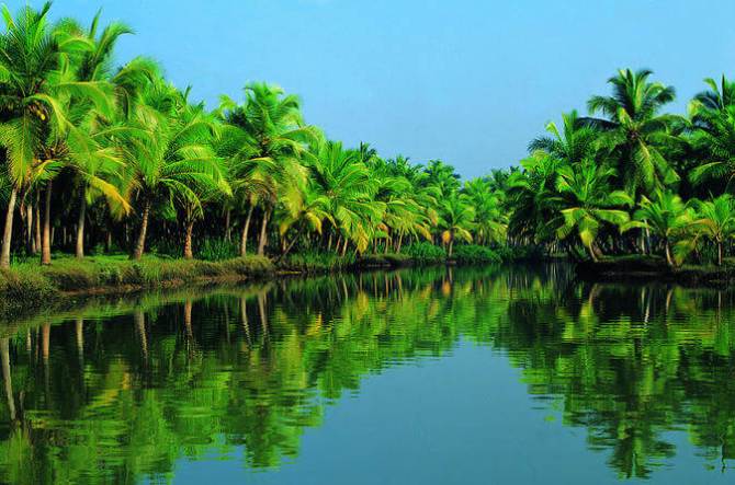Kerala Package for 5 Night 6 Days