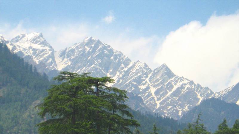 Shimla With Kullu Manali Tour