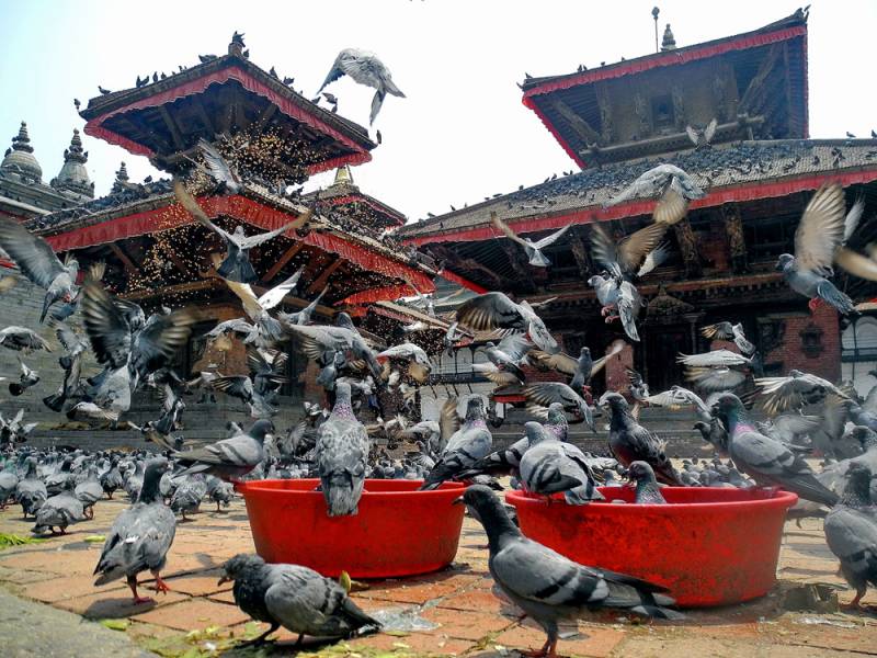 Pashupati Drshan & Kathmandu Full Day Tour