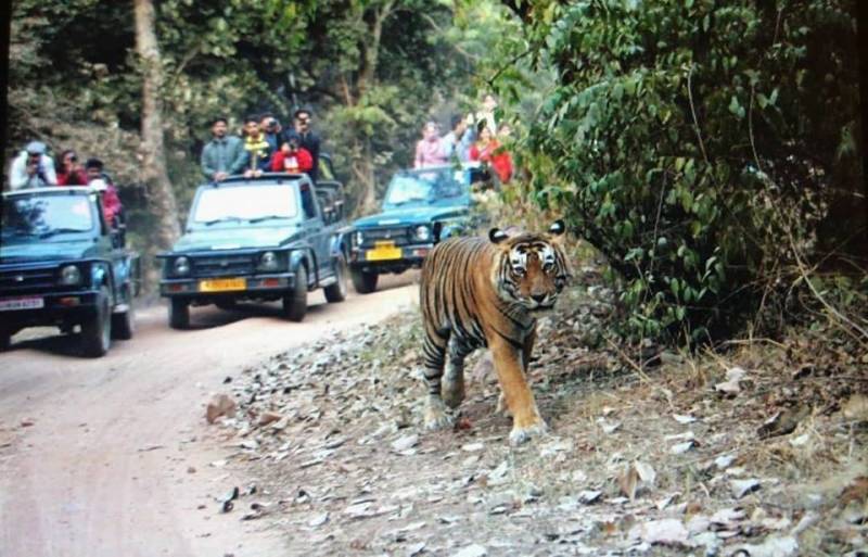 1 Night 2 Days Tour to Jim Corbett