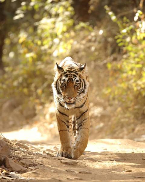 2 Nights & 3 Days of Wilderness Trip