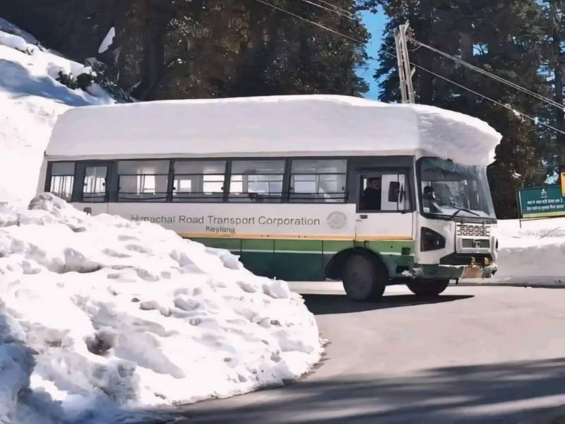 3 Night 4 Days Delhi to Manali and Manali to Delhi Image