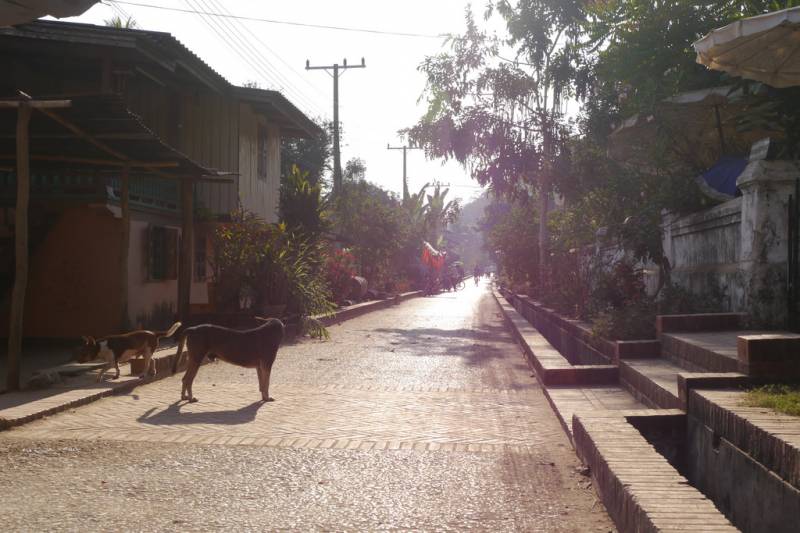 The Nature of Luang Prabang