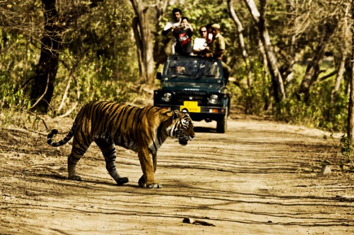 Nainital – Jim corbett Tour Package For 6 Days