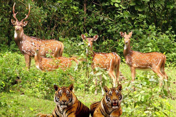 Nainital – Jim corbett Tour Package For 6 Days