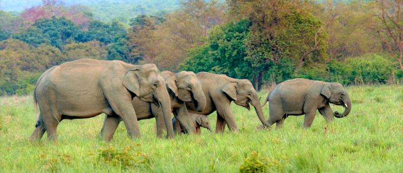 Charming Uttaranchal Package For 8 Days