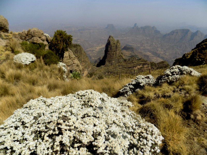 2 Nights/3 Days Trekking the Spectacular Simien Mountains