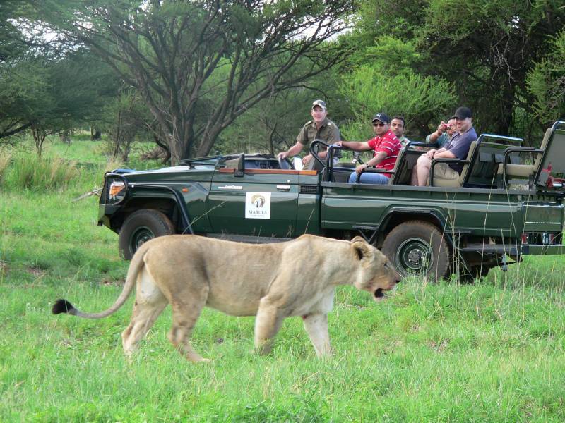 South Africa Tour Package 13 Days