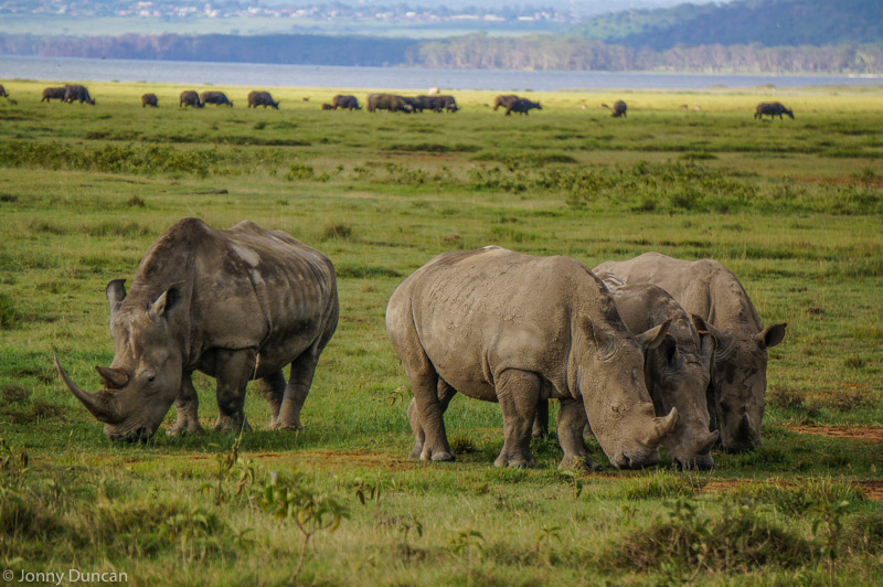 Kenya Tour Package 7 Days