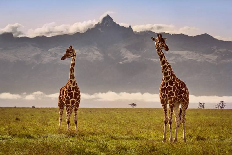 Kenya Tour Package 7 Days