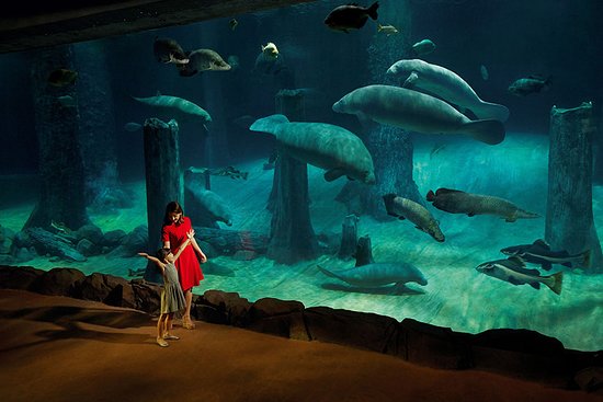 Singapore Tour Package 6 Days