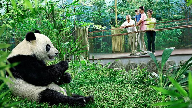 Singapore Tour Package 6 Days