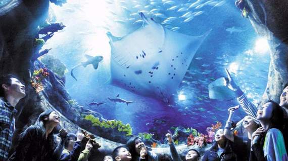 Hong Kong with Macau Tour Package 6 Days