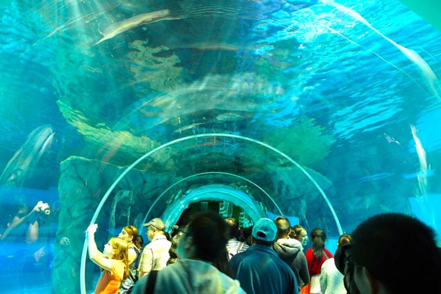 Hong Kong with Macau Tour Package 6 Days