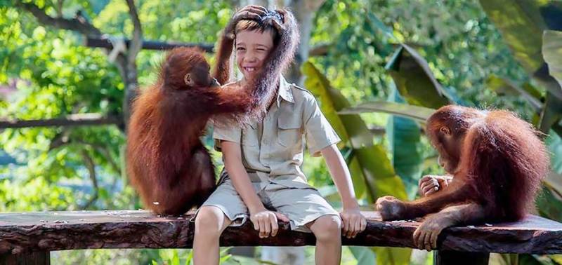 Bali Tour package 5 Days