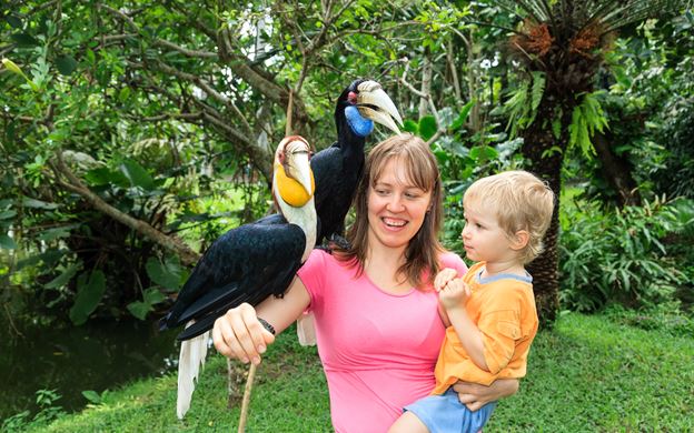 Bali Tour package 5 Days