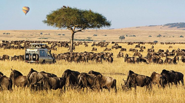 Kenya Tour Package 7 Days