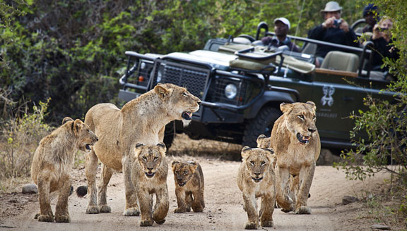 South Africa Tour Package 13 Days