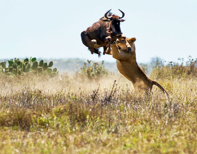 South Africa Tour Package 13 Days