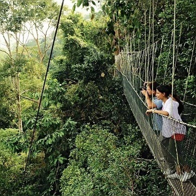 Malaysia Tour Package 7 Days