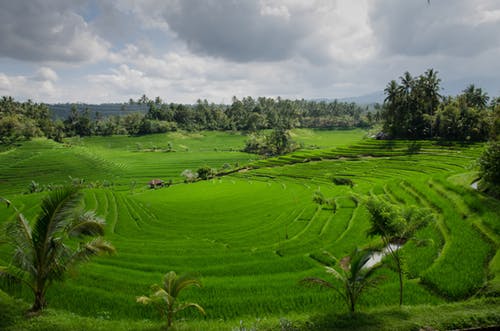 Bali Tour Package 5N 6D