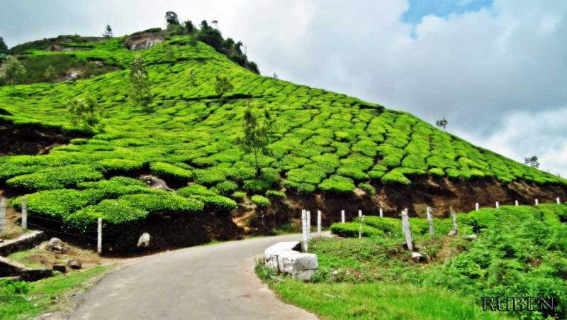 Amazing Kerala Tour Package 6N7D