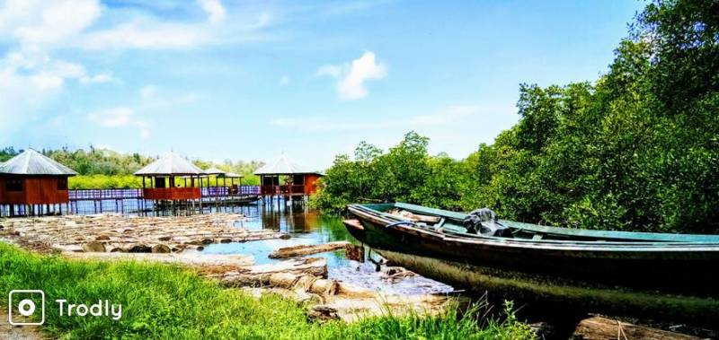 Andaman Family Tour Package 5n6d