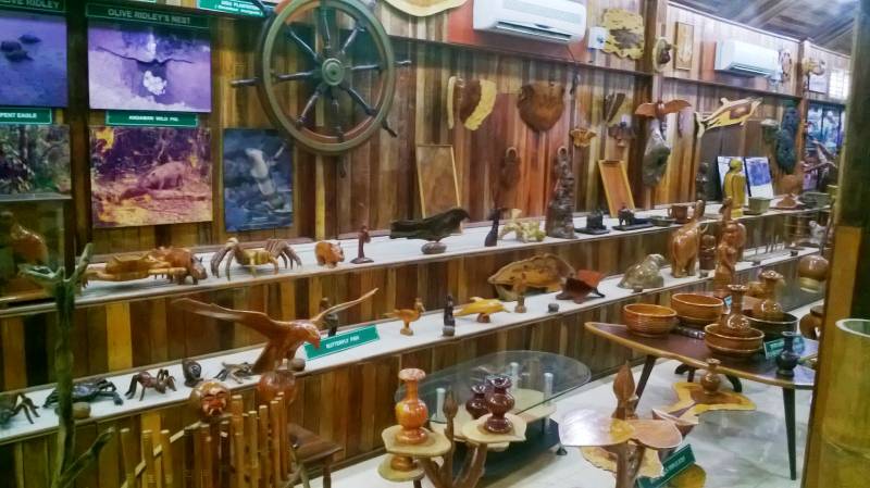 Andaman Family Tour Package 5n6d