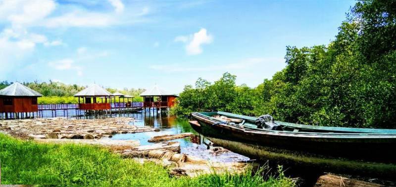 Andaman Exotic Honeymoon Tour Package 5n6d