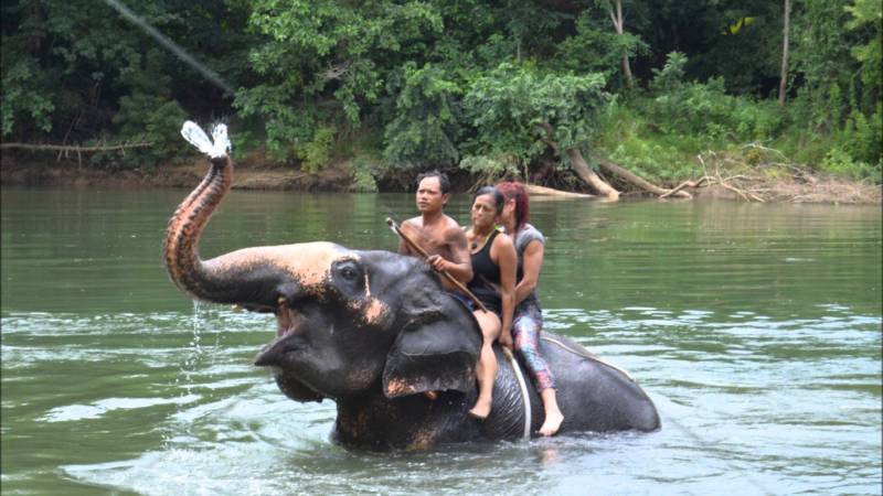 Bangkok, Pattaya & Krabi Tour Package 8n9d