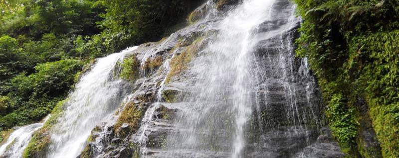 Mesmeric Sikkim & Darjeeling Family Tour Package 5n6d