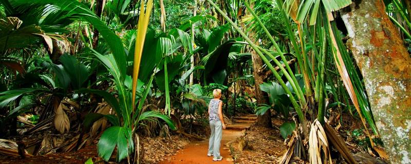 Luxury in Seychelles Tour Package 6N7D