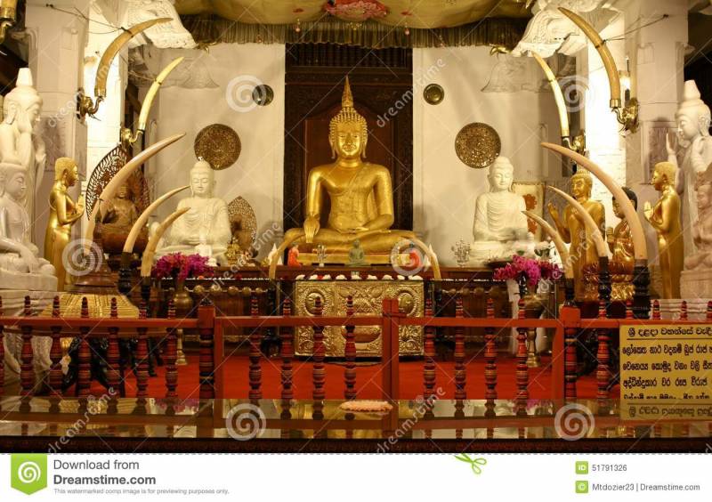 Exotic Sri Lanka Tour Package 4n5d