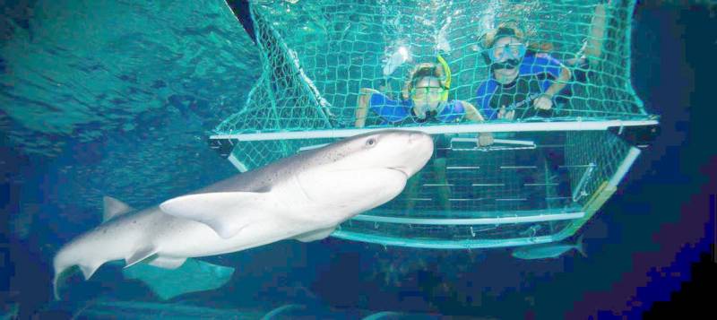 New Zealand Tour Package 7n8d