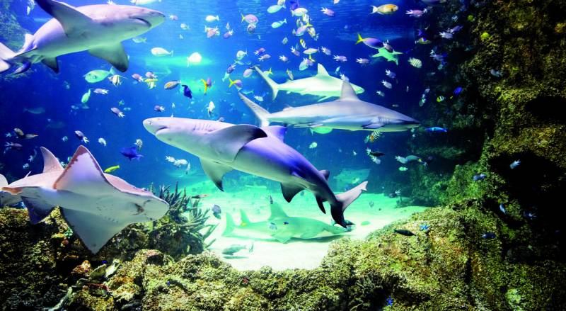 Exciting Australia Tour Package 8n9d