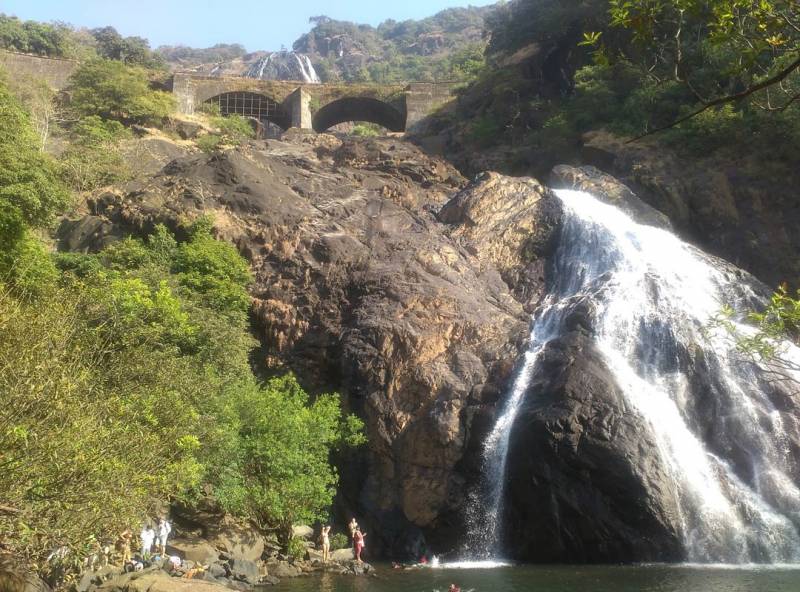 Dudhsagar Falls Tour Package with Jeep Safari + Spice Plantation + Lunch + Pikup Drop